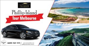 Phillip Island Tour Melbourne